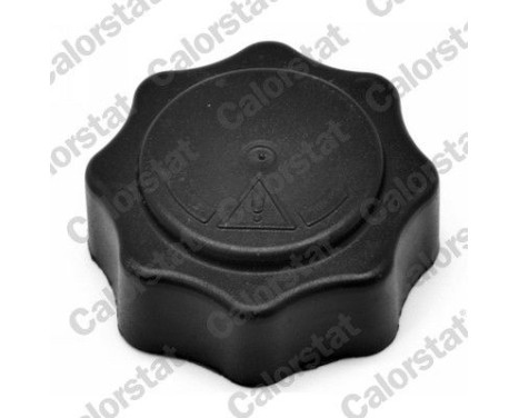 Sealing Cap, coolant tank