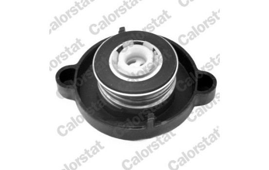 Sealing Cap, coolant tank, Image 2