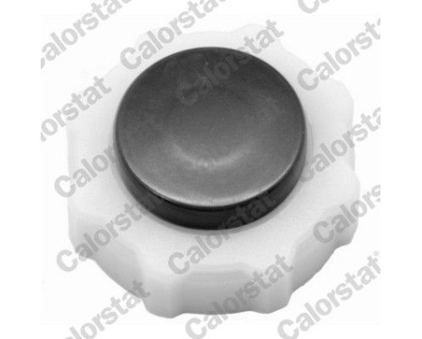 Sealing Cap, coolant tank