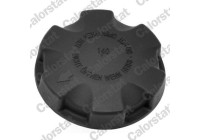 Sealing Cap, coolant tank