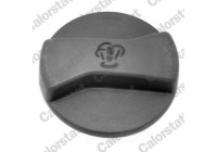 Sealing Cap, coolant tank