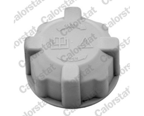 Sealing Cap, coolant tank