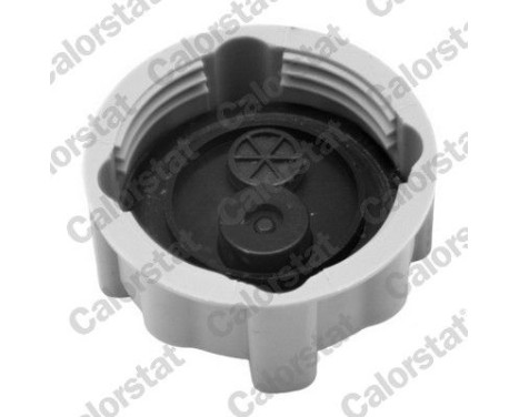 Sealing Cap, coolant tank, Image 2