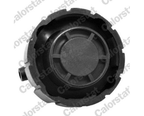 Sealing Cap, coolant tank, Image 2