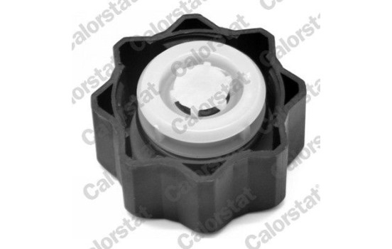 Sealing Cap, coolant tank, Image 2