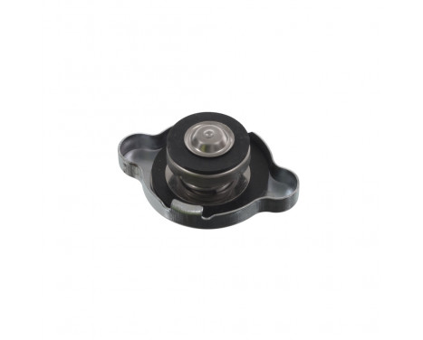 Sealing Cap, radiator ADC49910 Blue Print, Image 2