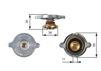 Sealing Cap, radiator RC102 Gates