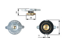 Sealing Cap, radiator RC120 Gates