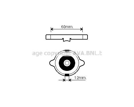 Sealing Cap, radiator