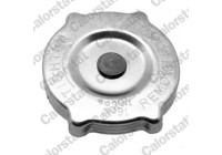 Sealing Cap, radiator