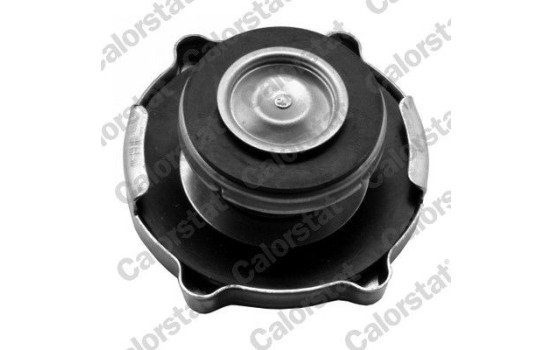 Sealing Cap, radiator, Image 2