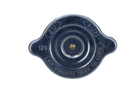Sealing Cap, radiator
