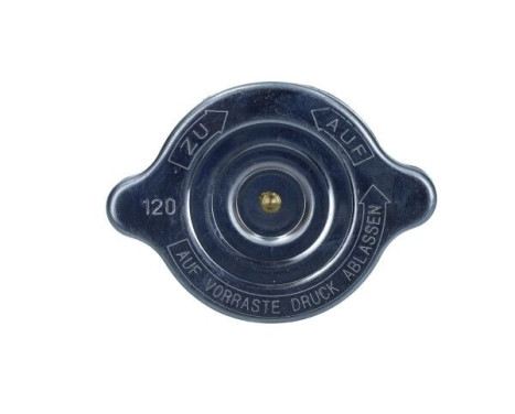 Sealing Cap, radiator