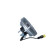 Clutch, radiator fan 49719 NRF, Thumbnail 4