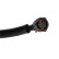 Clutch, radiator fan 86267 Nissens, Thumbnail 5