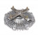 Clutch, radiator fan ADC491807 Blue Print