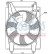 Fan, radiator 85088 Nissens, Thumbnail 2