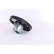 Fan, radiator 85619 Nissens, Thumbnail 3