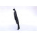 Fan, radiator 85891 Nissens, Thumbnail 4
