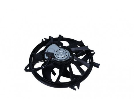 Fan, radiator AC239339 Maxgear, Image 2