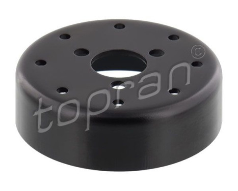Pulley, fan 113 790 Topran