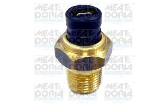 Temperature Switch, coolant warning lamp