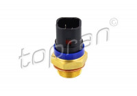 Temperature Switch, radiator fan