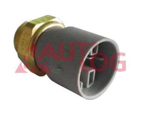 Temperature switch, radiator fan