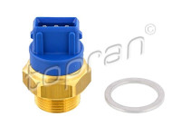 Temperature switch, radiator fan