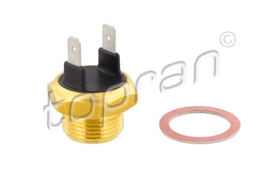 Temperature switch, radiator fan