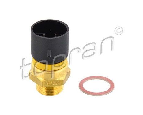 Temperature switch, radiator fan