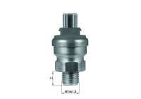 Temperature switch, radiator fan