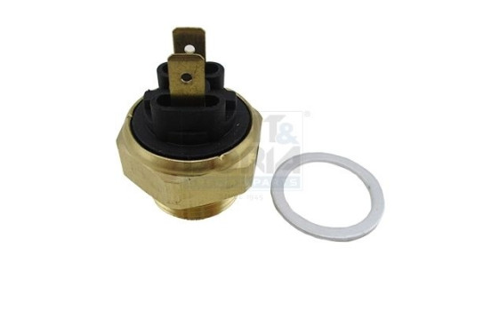 Temperature switch, radiator fan