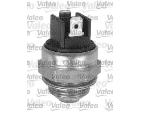 Temperature switch, radiator fan