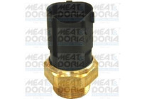 Temperature switch, radiator fan