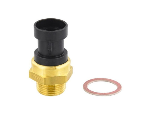 Temperature switch, radiator fan