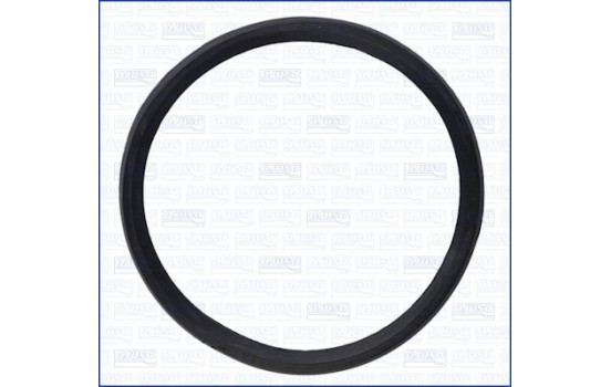 Gasket/ Seal