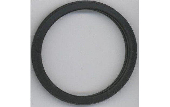 Gasket, thermostat 027.450 Elring