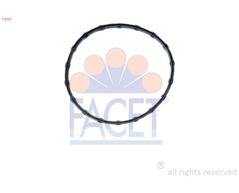 Gasket, thermostat 7.9737 Facet