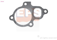 Gasket, thermostat housing Made in Italy - OE Equivalent