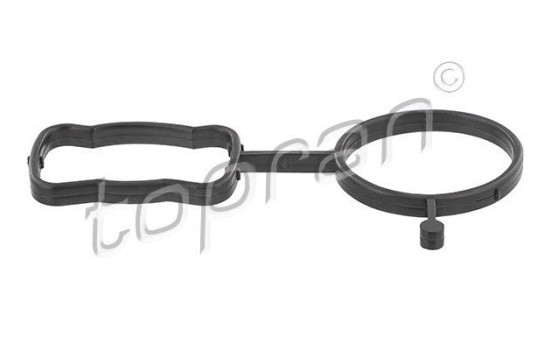 Gasket, thermostat housing