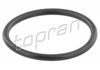 Gasket, thermostat housing