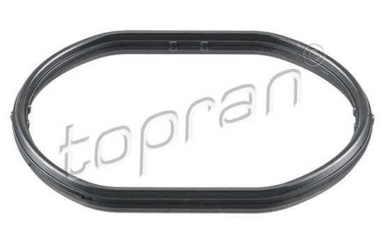 Gasket, thermostat housing