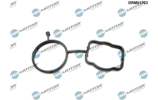 Gasket, thermostat housing