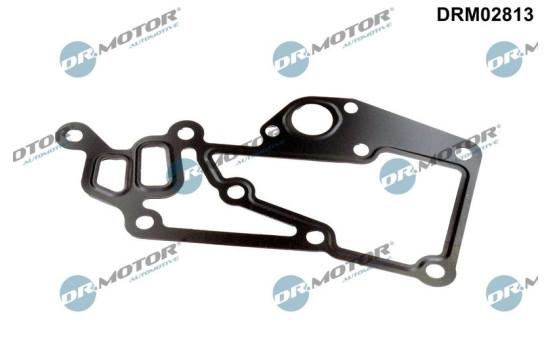 Gasket, thermostat housing