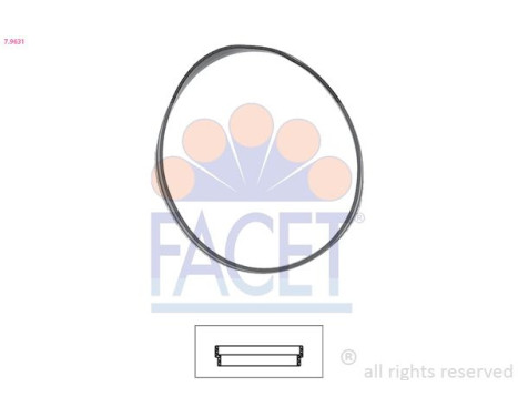 Gasket, thermostat Made in Italy - OE Equivalent 7.9631 Facet