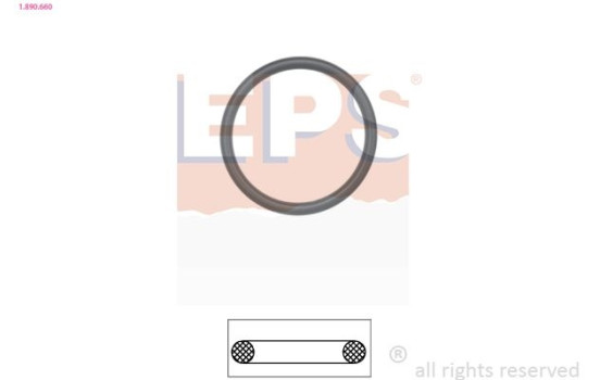 Gasket, thermostat Made in Italy - OE Equivalent