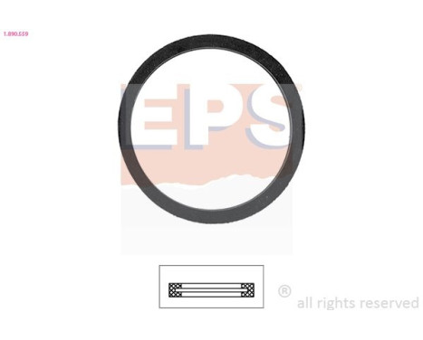 Gasket, thermostat Made in Italy - OE Equivalent