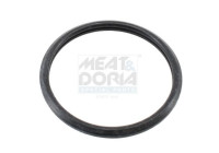 Gasket, thermostat