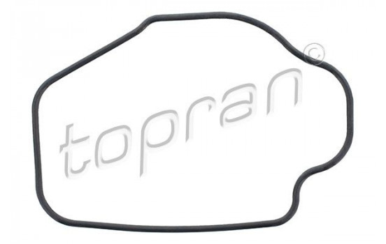 Gasket, thermostat